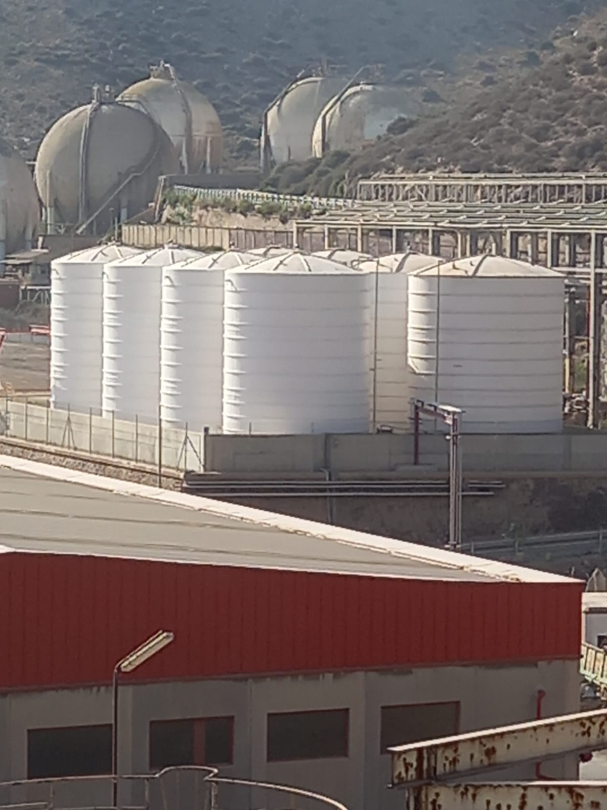 WhatsApp Image 2021-08-30 at 09.21.57 (1)